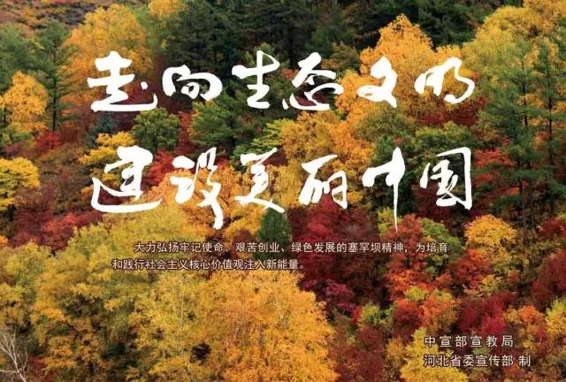 口袋德州官网-口袋德州APP下载