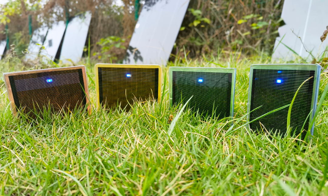 2022051110082724144 2022051110082724144